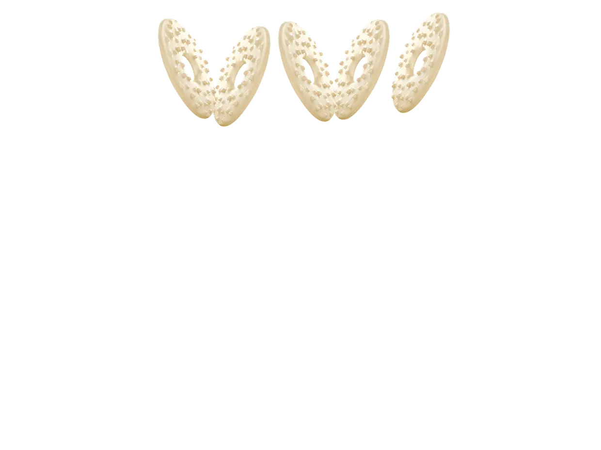 Fino Fino Filipinos Chocolate Blanco